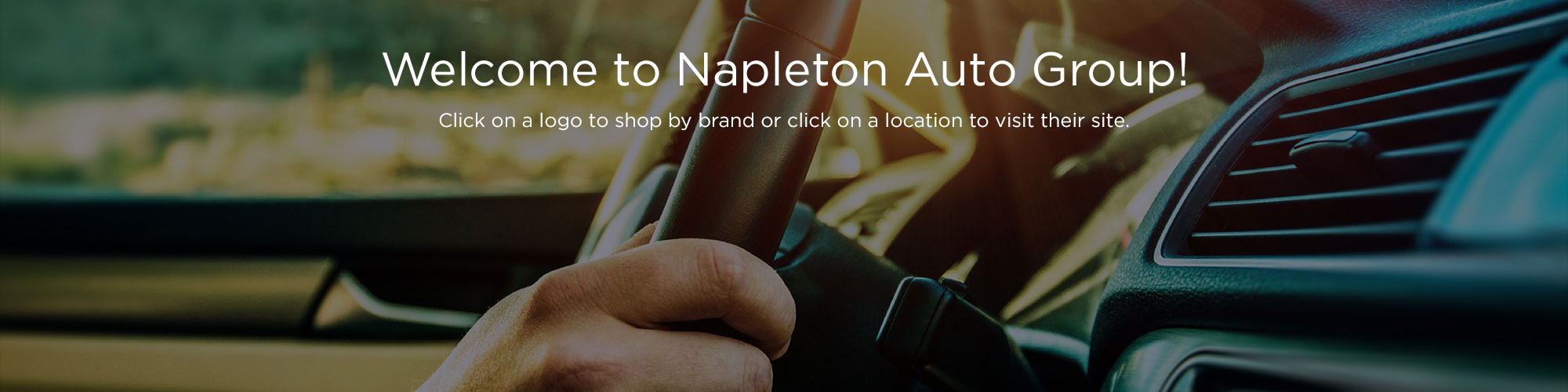 Napleton Auto Group Chicago Rockford Schererville New Used Cars